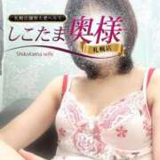 ヒメ日記 2025/02/09 05:55 投稿 広末　ゆか しこたま奥様 札幌店