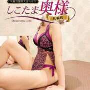 ヒメ日記 2025/02/16 18:05 投稿 広末　ゆか しこたま奥様 札幌店