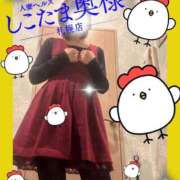 ヒメ日記 2025/02/19 12:55 投稿 広末　ゆか しこたま奥様 札幌店