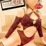 ヒメ日記 2025/03/09 07:25 投稿 広末　ゆか しこたま奥様 札幌店