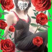 ヒメ日記 2025/03/12 15:35 投稿 広末　ゆか しこたま奥様 札幌店