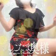 ヒメ日記 2025/03/22 12:34 投稿 広末　ゆか しこたま奥様 札幌店