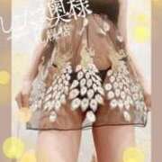 ヒメ日記 2025/05/11 09:17 投稿 広末　ゆか しこたま奥様 札幌店