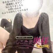 ヒメ日記 2025/10/24 11:45 投稿 広末　ゆか しこたま奥様 札幌店