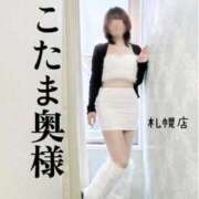 ヒメ日記 2025/11/11 05:15 投稿 広末　ゆか しこたま奥様 札幌店