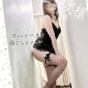 ヒメ日記 2025/11/14 16:07 投稿 広末　ゆか しこたま奥様 札幌店