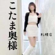 ヒメ日記 2025/11/26 11:15 投稿 広末　ゆか しこたま奥様 札幌店