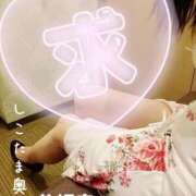 ヒメ日記 2025/12/29 19:05 投稿 広末　ゆか しこたま奥様 札幌店