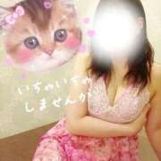 ヒメ日記 2026/01/29 09:35 投稿 広末　ゆか しこたま奥様 札幌店