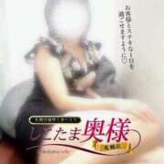 ヒメ日記 2026/02/11 19:20 投稿 広末　ゆか しこたま奥様 札幌店