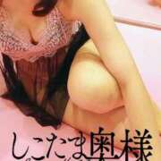 ヒメ日記 2026/03/05 11:36 投稿 広末　ゆか しこたま奥様 札幌店