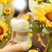 ヒメ日記 2026/03/08 08:36 投稿 広末　ゆか しこたま奥様 札幌店