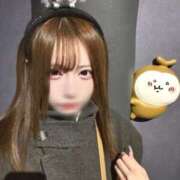 ヒメ日記 2025/11/23 16:34 投稿 つゆ The White