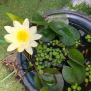 ヒメ日記 2025/07/18 09:25 投稿 るみ 奥鉄オクテツ大阪