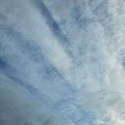 ヒメ日記 2025/11/18 07:57 投稿 舟崎 美紀 昼妻夜 滋賀店