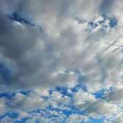 ヒメ日記 2025/11/22 08:03 投稿 舟崎 美紀 昼妻夜 滋賀店