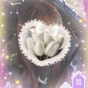 ヒメ日記 2025/12/29 11:33 投稿 舟崎 美紀 昼妻夜 滋賀店