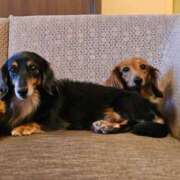 ヒメ日記 2026/04/06 12:33 投稿 舟崎 美紀 昼妻夜 滋賀店