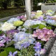 ヒメ日記 2025/06/18 18:58 投稿 つばき なすがママされるがママ 宇都宮