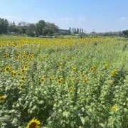 ヒメ日記 2025/09/06 22:05 投稿 つむぎ 萌えコス