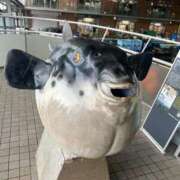 ヒメ日記 2026/02/16 21:35 投稿 つむぎ 萌えコス