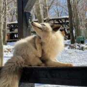 ヒメ日記 2026/03/02 21:55 投稿 つむぎ 萌えコス