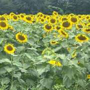 ヒメ日記 2026/08/31 22:15 投稿 つむぎ 特別授業