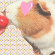 ヒメ日記 2025/03/10 23:50 投稿 まいこ One More奥様　町田相模原店