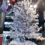 ヒメ日記 2026/02/17 10:49 投稿 なつ 完熟ばなな八王子