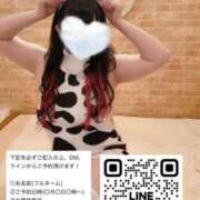 ヒメ日記 2024/12/17 12:30 投稿 歩美しろ コウテイ