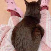 ヒメ日記 2025/02/22 14:05 投稿 歩美しろ コウテイ