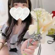 ヒメ日記 2025/03/24 19:07 投稿 歩美しろ コウテイ