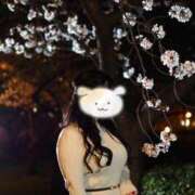 ヒメ日記 2025/04/13 14:19 投稿 歩美しろ コウテイ