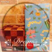 ヒメ日記 2025/06/08 02:25 投稿 歩美しろ コウテイ