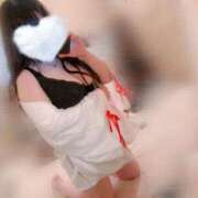 ヒメ日記 2025/06/08 07:35 投稿 歩美しろ コウテイ