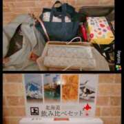 ヒメ日記 2025/06/28 01:35 投稿 歩美しろ コウテイ