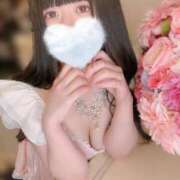 ヒメ日記 2025/07/21 10:19 投稿 歩美しろ コウテイ