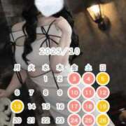 ヒメ日記 2025/10/02 12:17 投稿 歩美しろ コウテイ