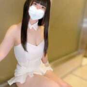 ヒメ日記 2026/03/07 08:35 投稿 歩美しろ コウテイ