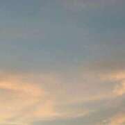 ヒメ日記 2025/08/23 19:03 投稿 ゆか しろうと娘　本店