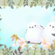 ヒメ日記 2025/03/25 22:54 投稿 三ノ宮恵里 五十路マダムエクスプレス横浜店（カサブランカグループ）