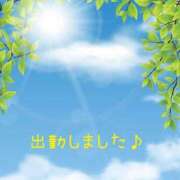 ヒメ日記 2025/05/04 10:12 投稿 三ノ宮恵里 五十路マダムエクスプレス横浜店（カサブランカグループ）