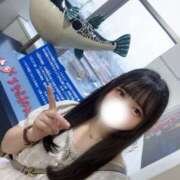 ☆つむぎ(25)☆ 🐡フグがいた🐡 ◆プラウディア◆AAA級素人娘在籍店