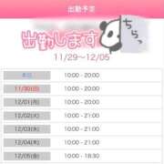 ヒメ日記 2025/11/29 23:13 投稿 えりこ◆艶やかオーラ放つ美魔女 即イキ淫乱倶楽部 高崎店