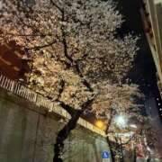 ヒメ日記 2026/03/27 02:53 投稿 えりこ◆艶やかオーラ放つ美魔女 即イキ淫乱倶楽部 高崎店