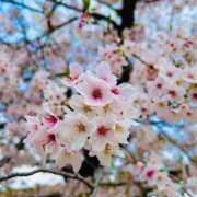 ヒメ日記 2025/05/08 08:48 投稿 折原さな お姉さんLABO -艶-