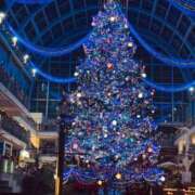 ヒメ日記 2025/11/20 19:48 投稿 折原さな お姉さんLABO -艶-