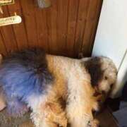 ヒメ日記 2026/02/27 07:08 投稿 折原さな お姉さんLABO -艶-