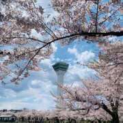 ヒメ日記 2026/04/08 07:58 投稿 折原さな お姉さんLABO -艶-