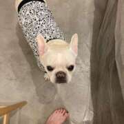 ヒメ日記 2025/03/20 23:08 投稿 詩月るか お姉さんLABO -艶-